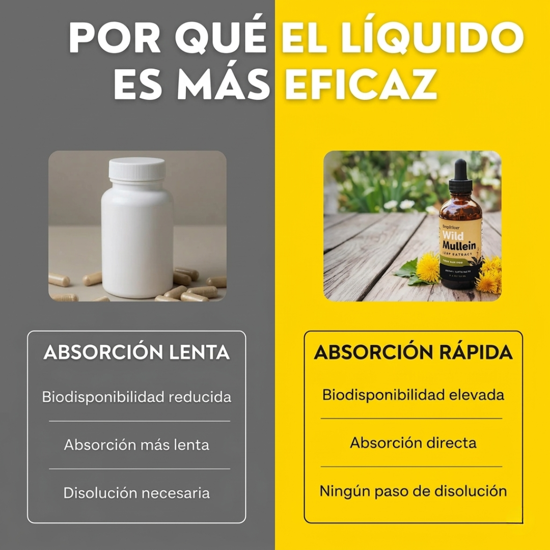 Detox pulmonar 3 en 1 (mocos, toxinas y vías respiratorias)
