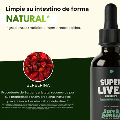 Bioture DTOX™ — Formula Natural de Limpieza Profunda de Hígado